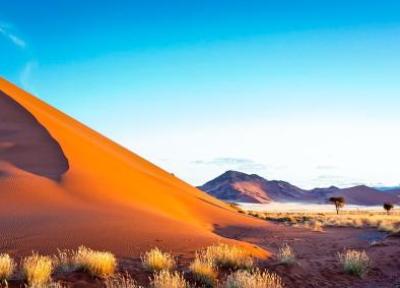 تور مجازی: صحرای نامیب