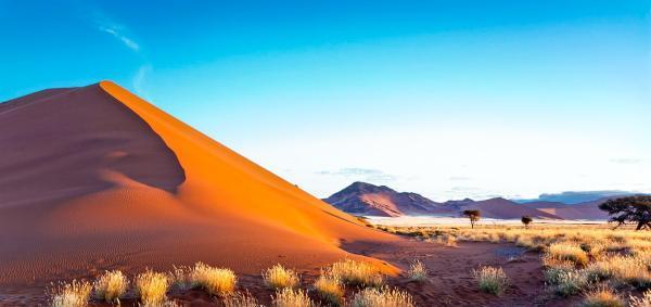 تور مجازی: صحرای نامیب